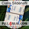 Cialis Sildénafil kamagra1